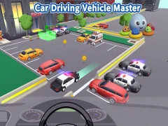 游戏Car Driving Vehicle Master在线