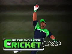 游戏Cricket Fielder Challenge在线