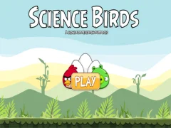 游戏Science Birds在线