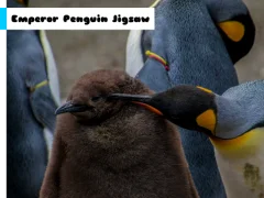 游戏Emperor Penguin Jigsaw在线