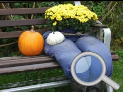 游戏Autumn Garden Find 100 butterflies在线