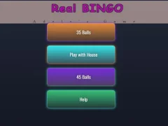 游戏Real BINGO在线