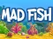游戏Mad Fish在线