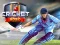 游戏Cricket 2020在线