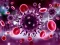 游戏Coronavirus Puzzle在线