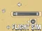 游戏Flight Sim在线