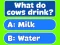 游戏Trivia! Best Family Quiz在线