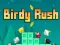 游戏Birdy Rush在线