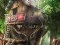 游戏Hidden Treehouse在线