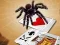 游戏Jumping Spider在线