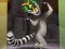 游戏King Julien: Trommel-Tanz在线