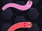 游戏Angry Worms在线