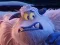 游戏Smallfoot Puzzle在线