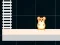游戏Hamster Grid Even Odd在线