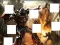 游戏Transformers 3 image puzzles在线