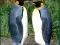 游戏Penguin Puzzle在线