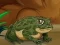 游戏Frogs Matching在线