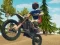 游戏Dirt Bike Enduro Racing在线