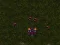 游戏Starcraft 3在线