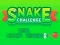 游戏Snake Challenge在线