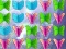 游戏Butterfly Collector在线