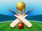 游戏Cricket Champions Cup在线