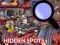 游戏Hidden Spots In The Room在线