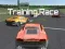游戏Training Race在线