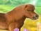 游戏My Dear Pony在线