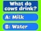 游戏Trivia Best Family Quiz在线