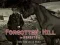 游戏Forgotten Hill Memento: Run Run little Horse在线