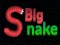 游戏Big Snake.io在线
