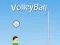 游戏VolleyBall在线