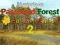 游戏Mysterious Password Forest Autumn Edition 2在线