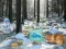 游戏Winter Wonderland Forest Adventure在线