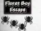 游戏Floret Boy Escape在线