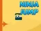 游戏Ninja Jump在线