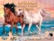 游戏Animals Jigsaw Puzzle Horses在线