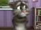 游戏Talking Tom Cat 2在线
