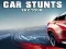 游戏Car Stunts Sky Tour在线