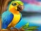 游戏Little Parrot Escape在线
