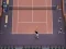 游戏Tennis Love在线