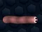 游戏Math Slither在线