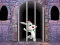 游戏Victory Rabbit Escape在线