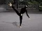游戏Ninja Academy在线
