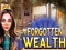 游戏Forgotten Wealth在线