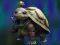 游戏Isolated Turtle Escape在线