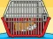 游戏Rescue The Hamster From Cage在线