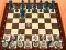游戏Chess Master 3D在线