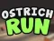 游戏Ostrich Run在线
